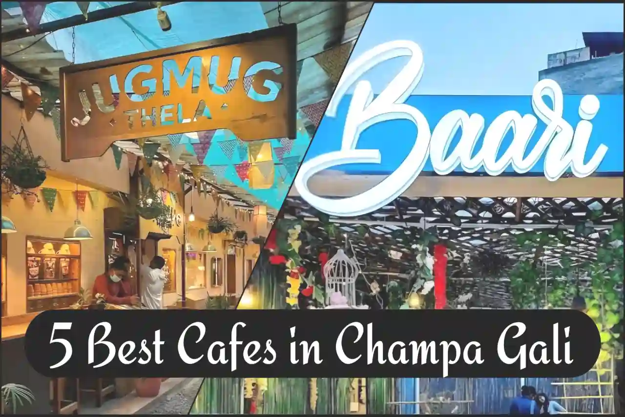 Subway Champa Xxx Video - Top 5 Insta-Worthy Cafes in Champa Gali, Saket: Love and Lattes! -  ZflixTrends