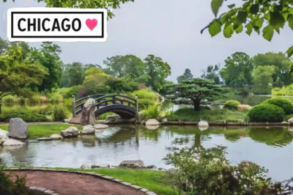 A Thumbnail for No Charge to Explore - Visit Chicago's Phoenix Gardens in the Spring!