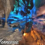 A Thumbnail for Ruby Falls, America's Tallest and Deepest waterfall in Chattanooga